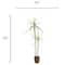 4ft. Yucca Faux Plant in Woven Basket by Ashland®